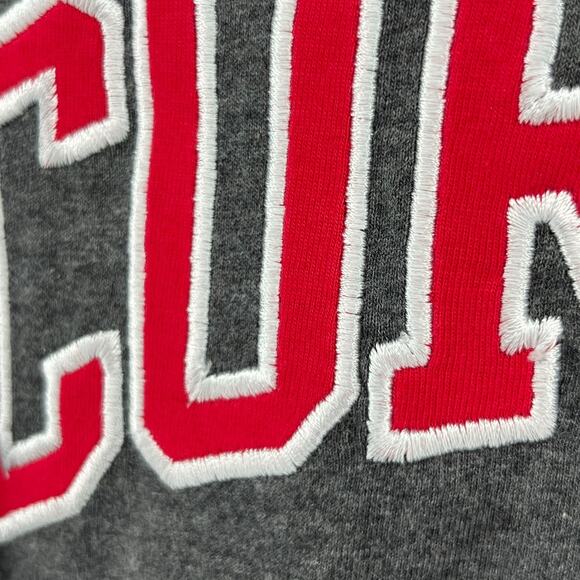 CORNELL Shirt Adult S CHAMPION BIG RED University Ivy Ithaca NY Cotton Gray NEW - Picture 8 of 14